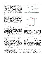 Bhagavan Medical Biochemistry 2001, page 567
